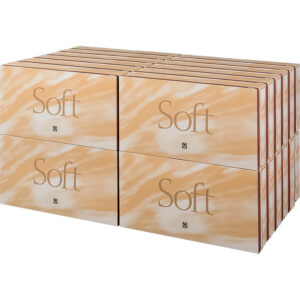 2 -ply Luxury Facial Tissues 100 sheets