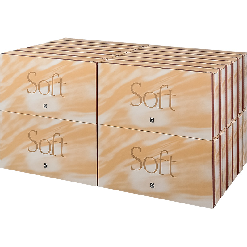 2 -ply Luxury Facial Tissues 100 sheets